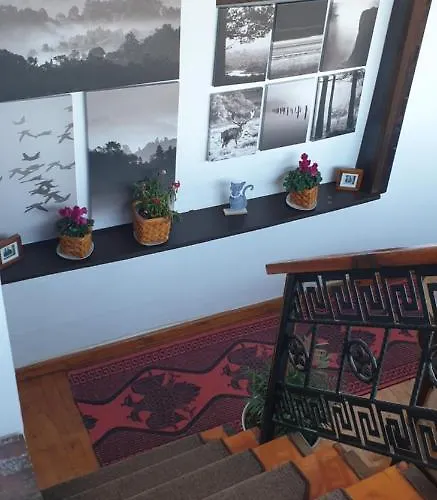 Bed & Breakfast Darla Berat